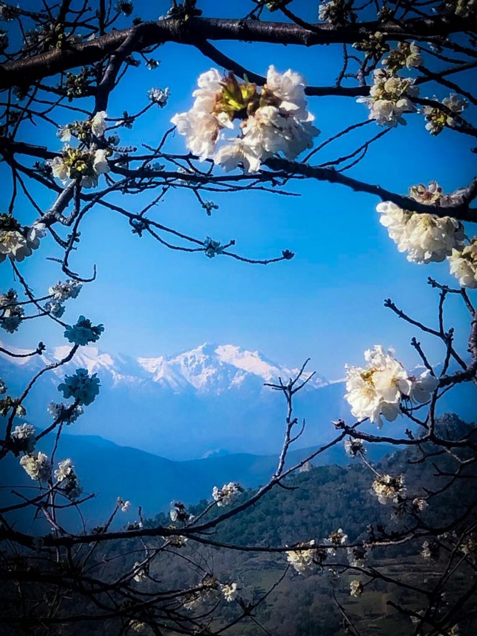 Nuits Magiques Au Village Entre Mer Et Montagnes Bigorno Εξωτερικό φωτογραφία