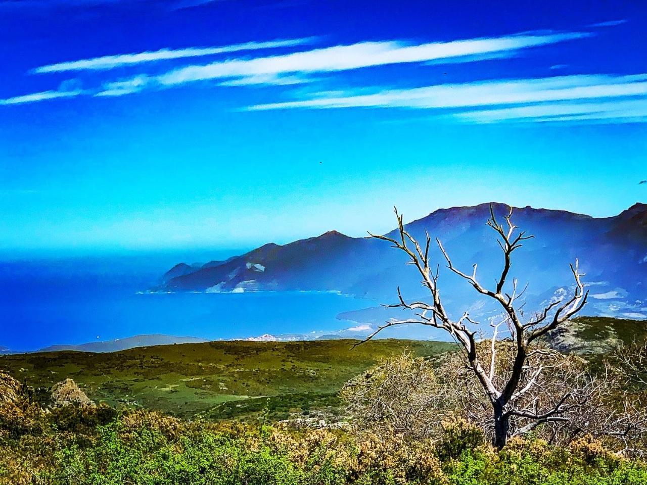 Nuits Magiques Au Village Entre Mer Et Montagnes Bigorno Εξωτερικό φωτογραφία