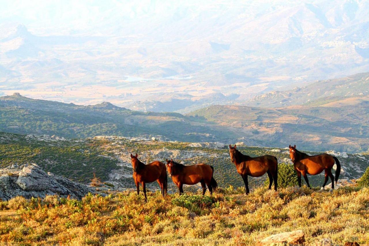 Nuits Magiques Au Village Entre Mer Et Montagnes Bigorno Εξωτερικό φωτογραφία
