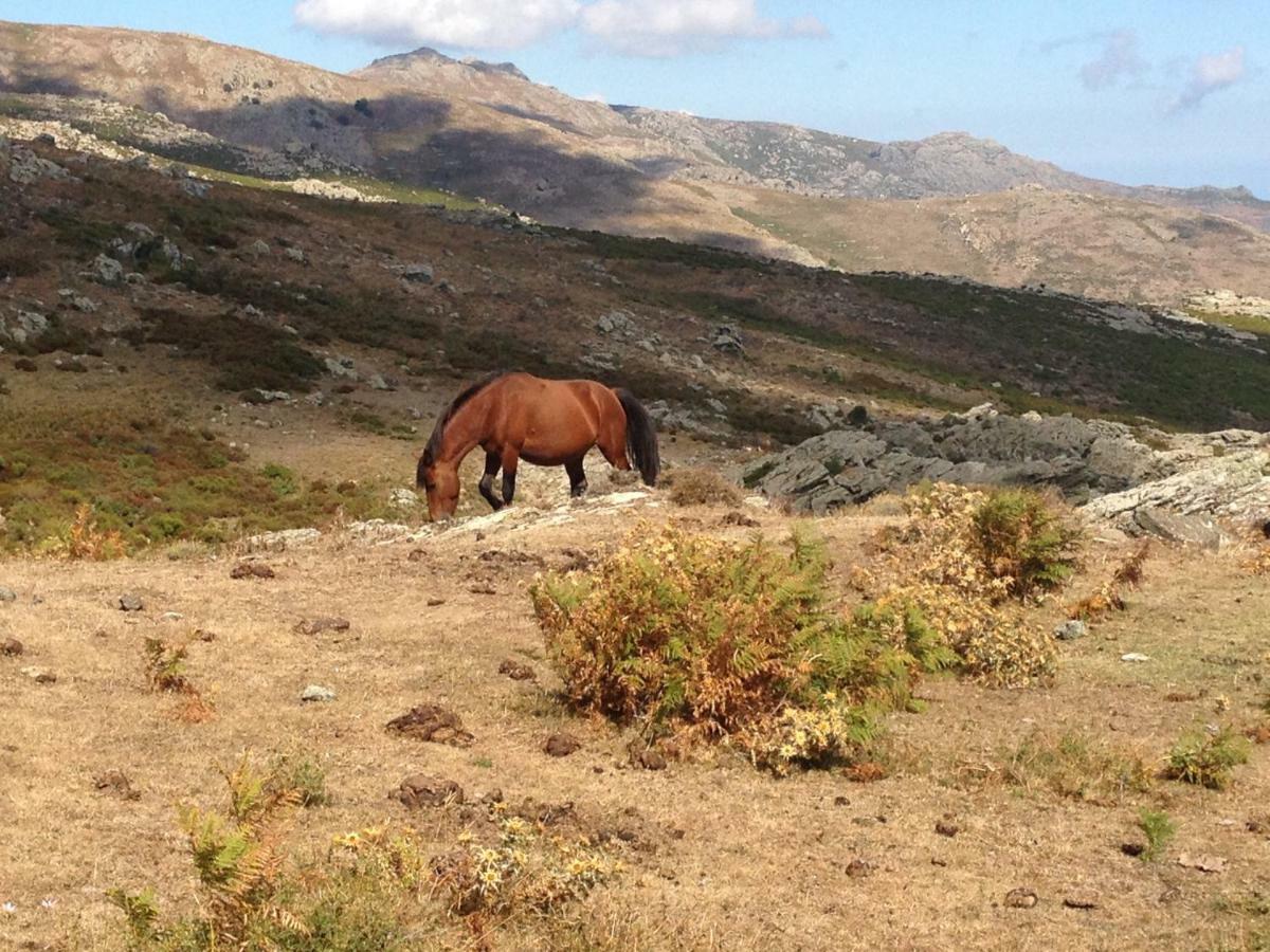 Nuits Magiques Au Village Entre Mer Et Montagnes Bigorno Εξωτερικό φωτογραφία